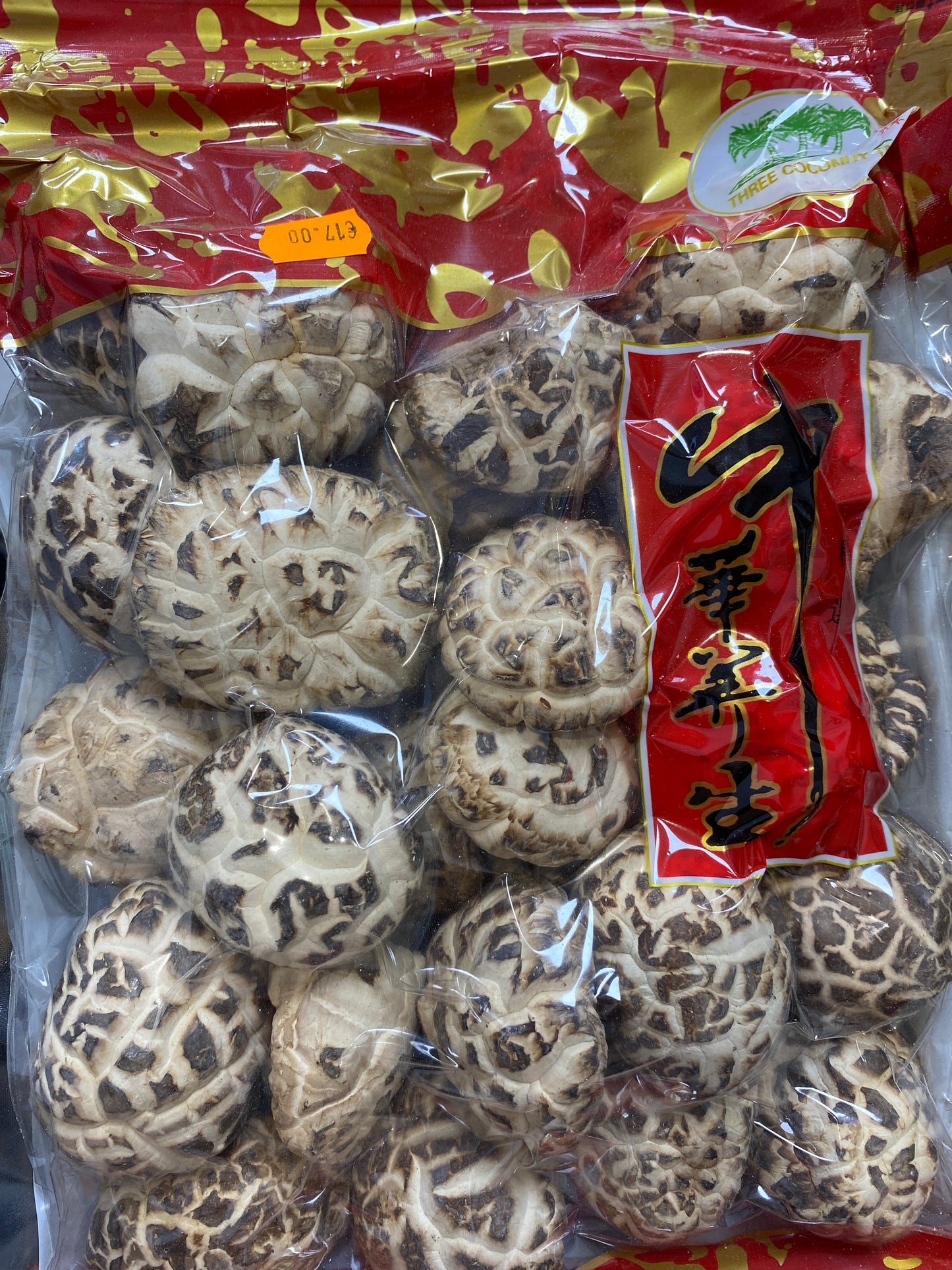 Shiitake White flower Three coconut tree